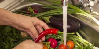 Optimalne nawadnianie roślin warzywnych - poranny czy wieczorny czas podlewania
